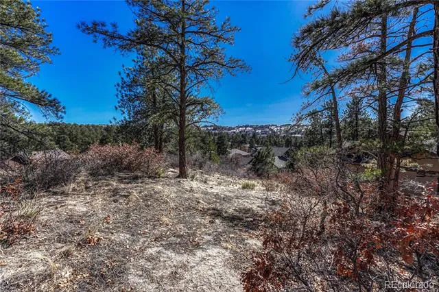 2111 Ramblewood Court Castle Rock, CO 80104