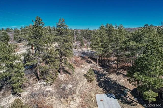 2111 Ramblewood Court Castle Rock, CO 80104