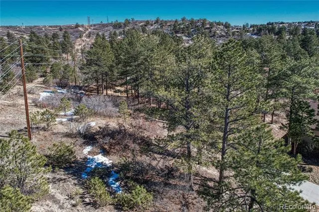 2111 Ramblewood Court Castle Rock, CO 80104