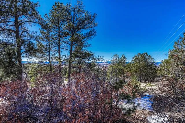 2111 Ramblewood Court Castle Rock, CO 80104