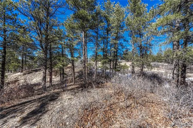 2111 Ramblewood Court Castle Rock, CO 80104