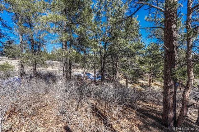 2111 Ramblewood Court Castle Rock, CO 80104