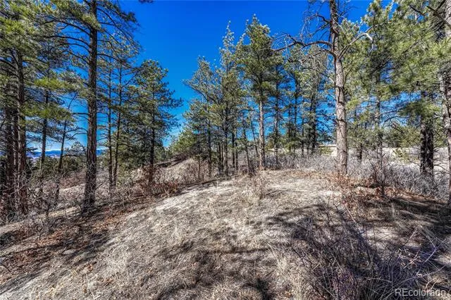 2111 Ramblewood Court Castle Rock, CO 80104