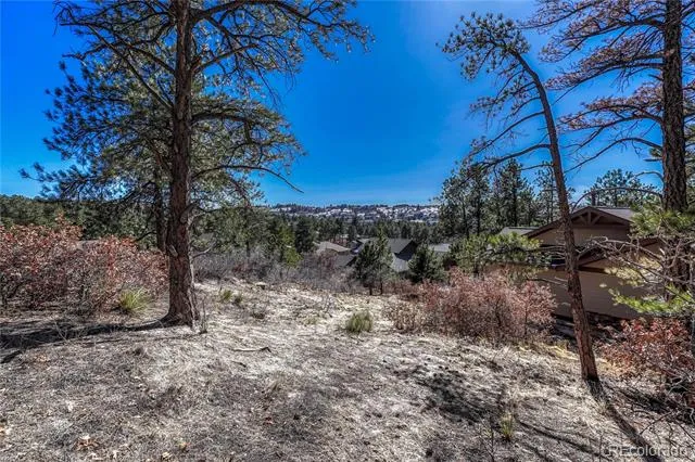 2111 Ramblewood Court Castle Rock, CO 80104