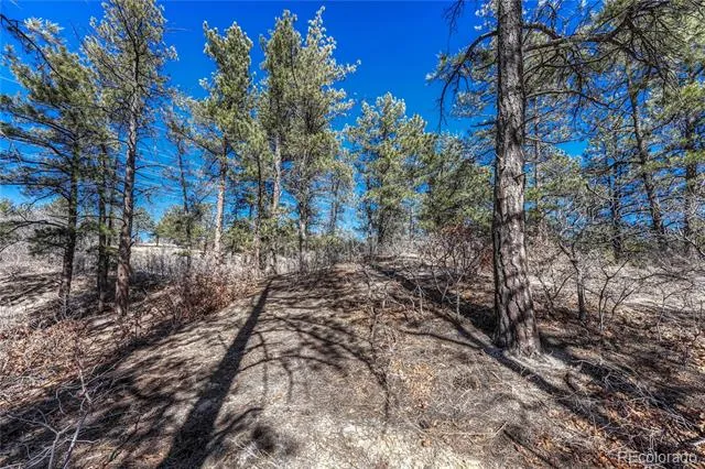 2111 Ramblewood Court Castle Rock, CO 80104