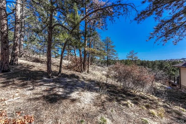2111 Ramblewood Court Castle Rock, CO 80104