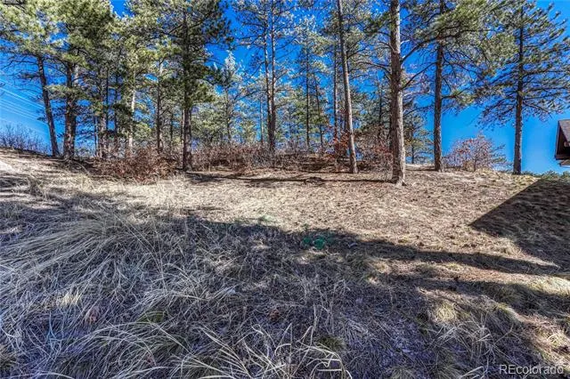 2111 Ramblewood Court Castle Rock, CO 80104