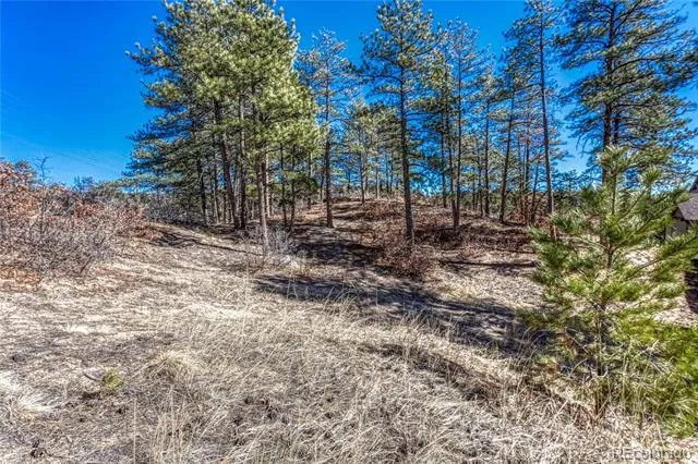 2111 Ramblewood Court Castle Rock, CO 80104