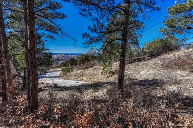 2111 Ramblewood Court Castle Rock, CO 80104