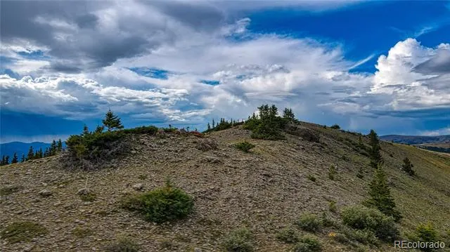 9551 Rose Group Leadville, CO 80461