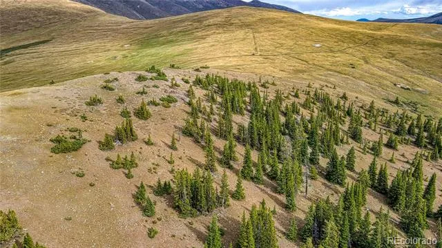 9551 Rose Group Leadville, CO 80461
