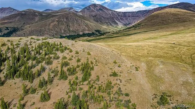 9551 Rose Group Leadville, CO 80461