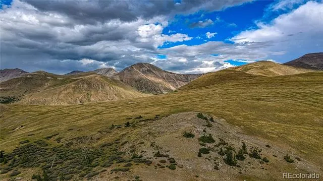 9551 Rose Group Leadville, CO 80461