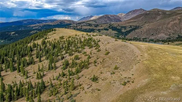 9551 Rose Group Leadville, CO 80461