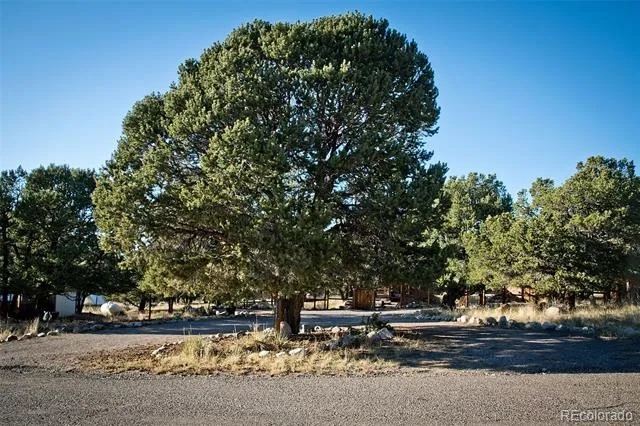 109 Pinewood Overlook Crestone, CO 81131