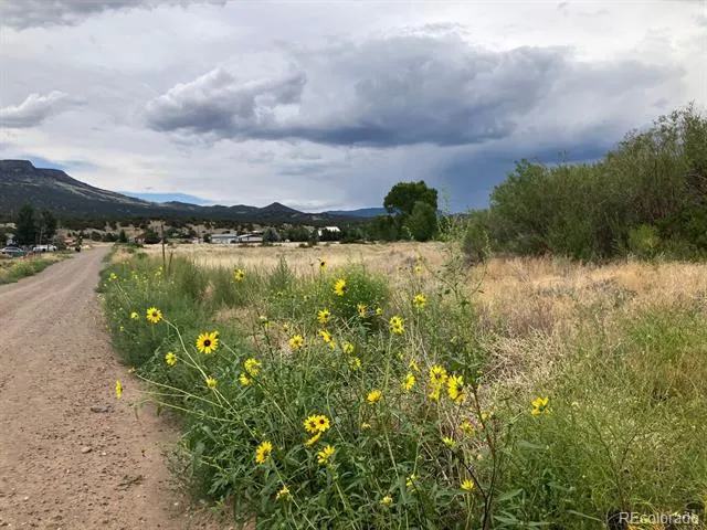 100 Mica Road South Fork, CO 81154