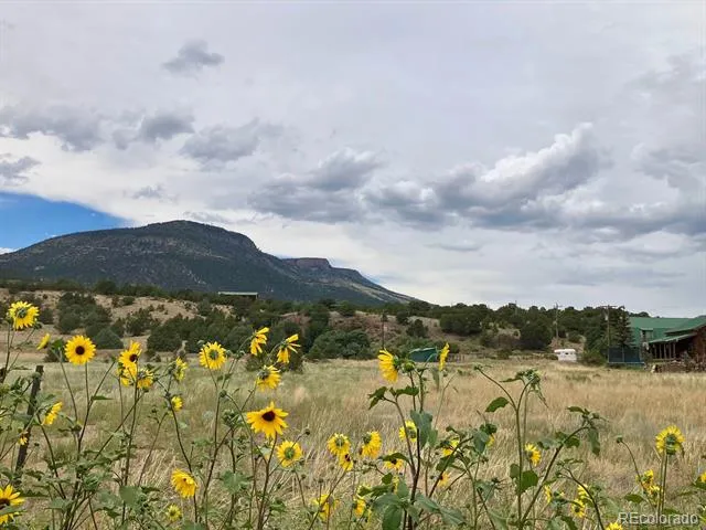 100 Mica Road South Fork, CO 81154
