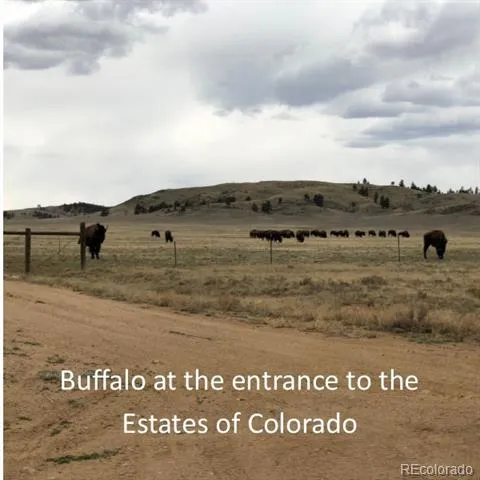 000 Black Beaver Circle Hartsel, CO 80449
