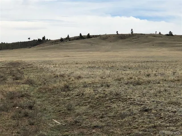 000 Black Beaver Circle Hartsel, CO 80449