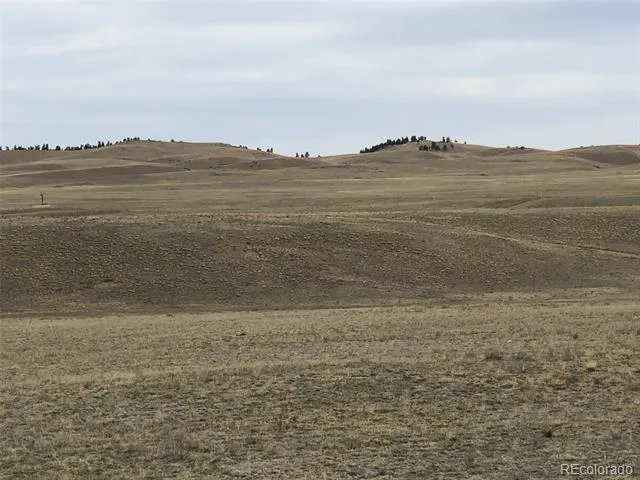 000 Black Beaver Circle Hartsel, CO 80449