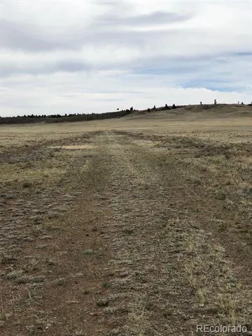 000 Black Beaver Circle Hartsel, CO 80449
