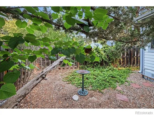 814 Arbor Avenue #C Fort Collins, CO 80526