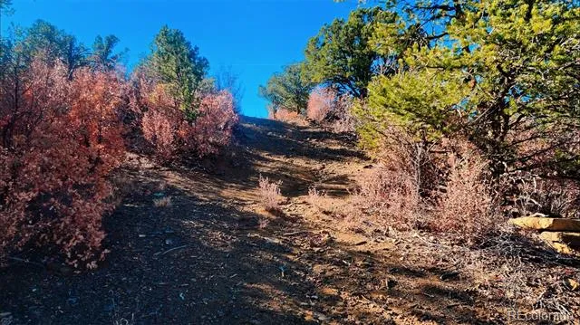 11298 Primero Ranch Trinidad, CO 81082