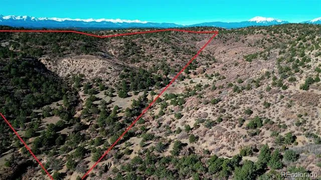 11298 Primero Ranch Trinidad, CO 81082