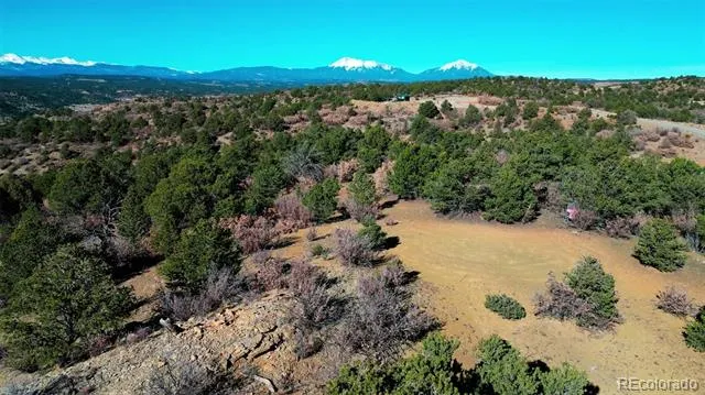 11298 Primero Ranch Trinidad, CO 81082