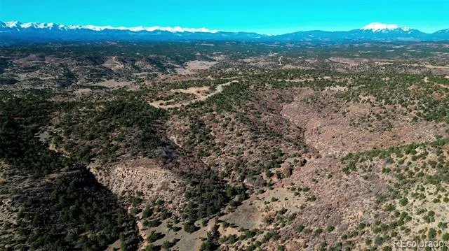 11298 Primero Ranch Trinidad, CO 81082