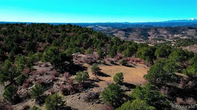 11298 Primero Ranch Trinidad, CO 81082