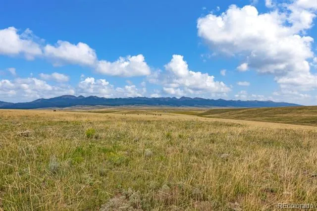 2015 Kit Carson Road Westcliffe, CO 81252