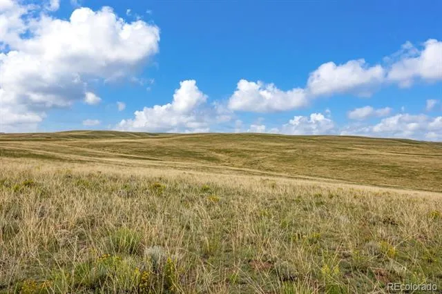 2015 Kit Carson Road Westcliffe, CO 81252
