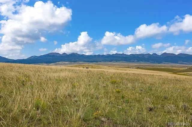 2015 Kit Carson Road Westcliffe, CO 81252