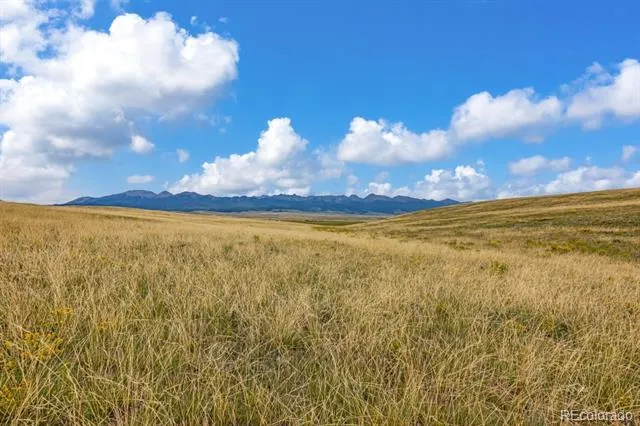 2015 Kit Carson Road Westcliffe, CO 81252