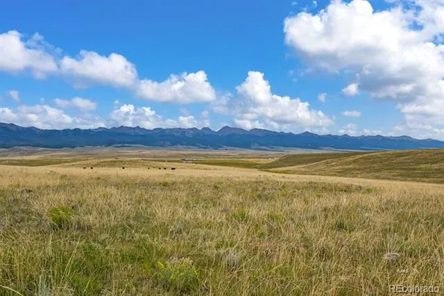 2015 Kit Carson Road Westcliffe, CO 81252