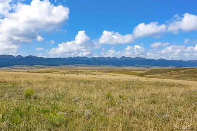 2015 Kit Carson Road Westcliffe, CO 81252