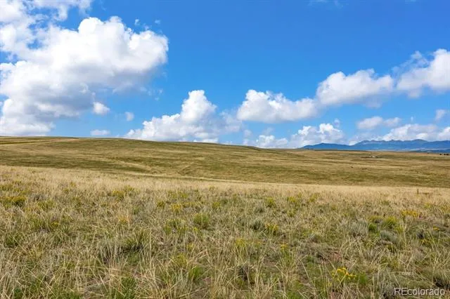 2015 Kit Carson Road Westcliffe, CO 81252