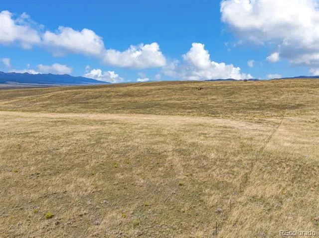 2015 Kit Carson Road Westcliffe, CO 81252