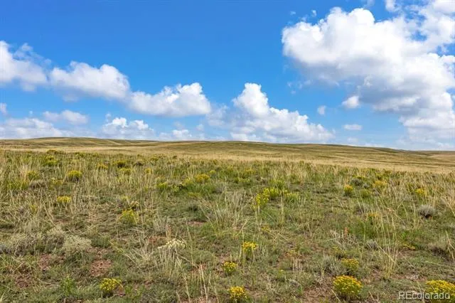 2015 Kit Carson Road Westcliffe, CO 81252