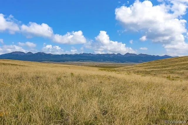 2015 Kit Carson Road Westcliffe, CO 81252