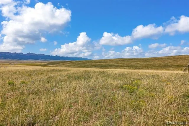 2015 Kit Carson Road Westcliffe, CO 81252