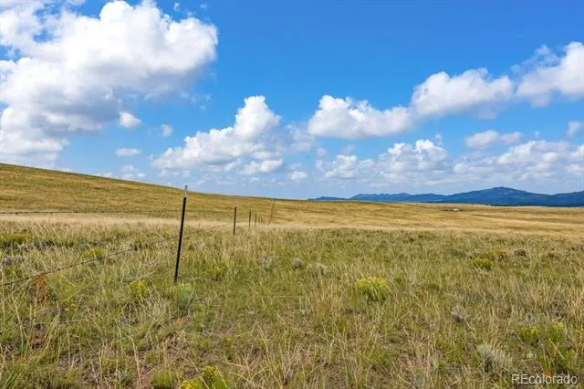 2015 Kit Carson Road Westcliffe, CO 81252