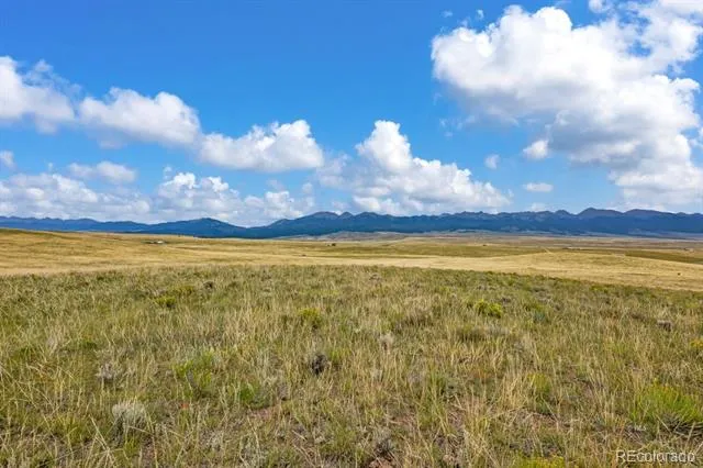 2015 Kit Carson Road Westcliffe, CO 81252