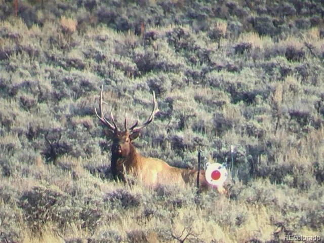 2000 County Road 60 Granby, CO 80446