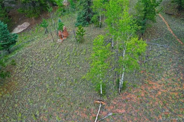 525 Spring Valley Lane Florissant, CO 80816