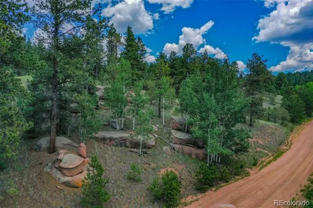 525 Spring Valley Lane Florissant, CO 80816