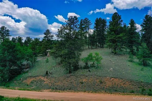 525 Spring Valley Lane Florissant, CO 80816