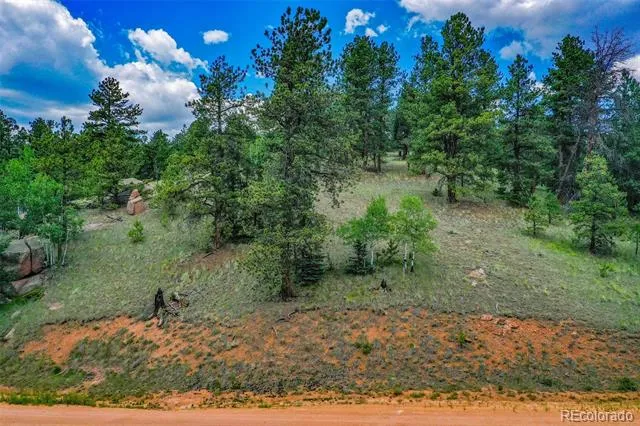 525 Spring Valley Lane Florissant, CO 80816