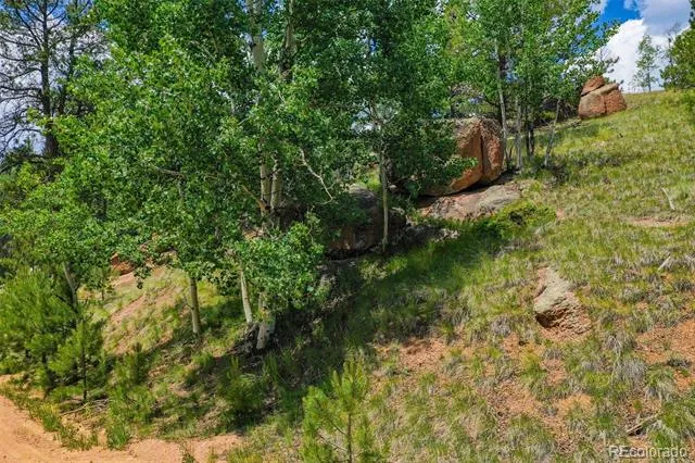 525 Spring Valley Lane Florissant, CO 80816